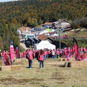 mobilisation-terre-textile-vosges-alsace-20151003-29